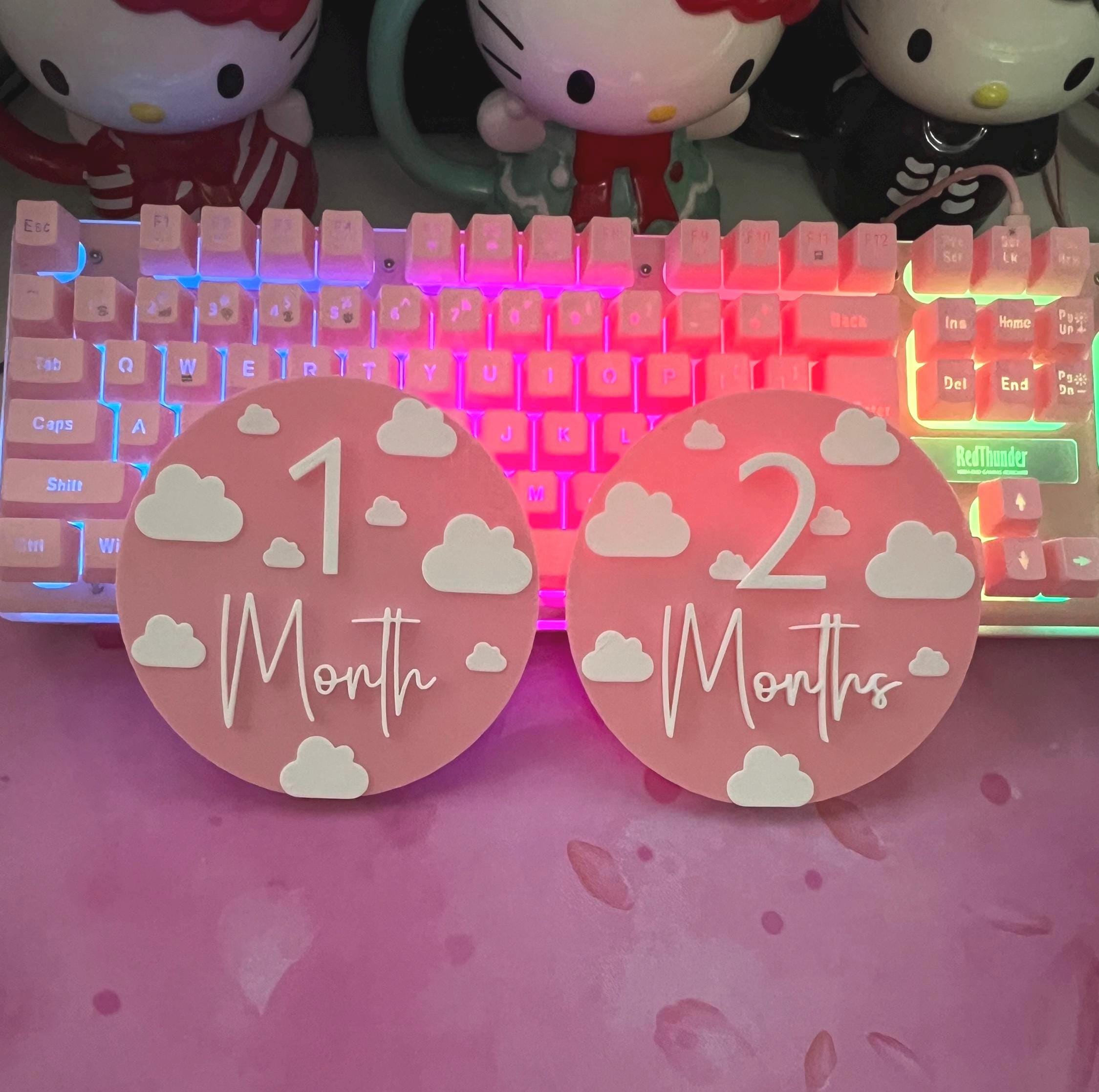 Baby Milestone / Monthly Milestone Discs
