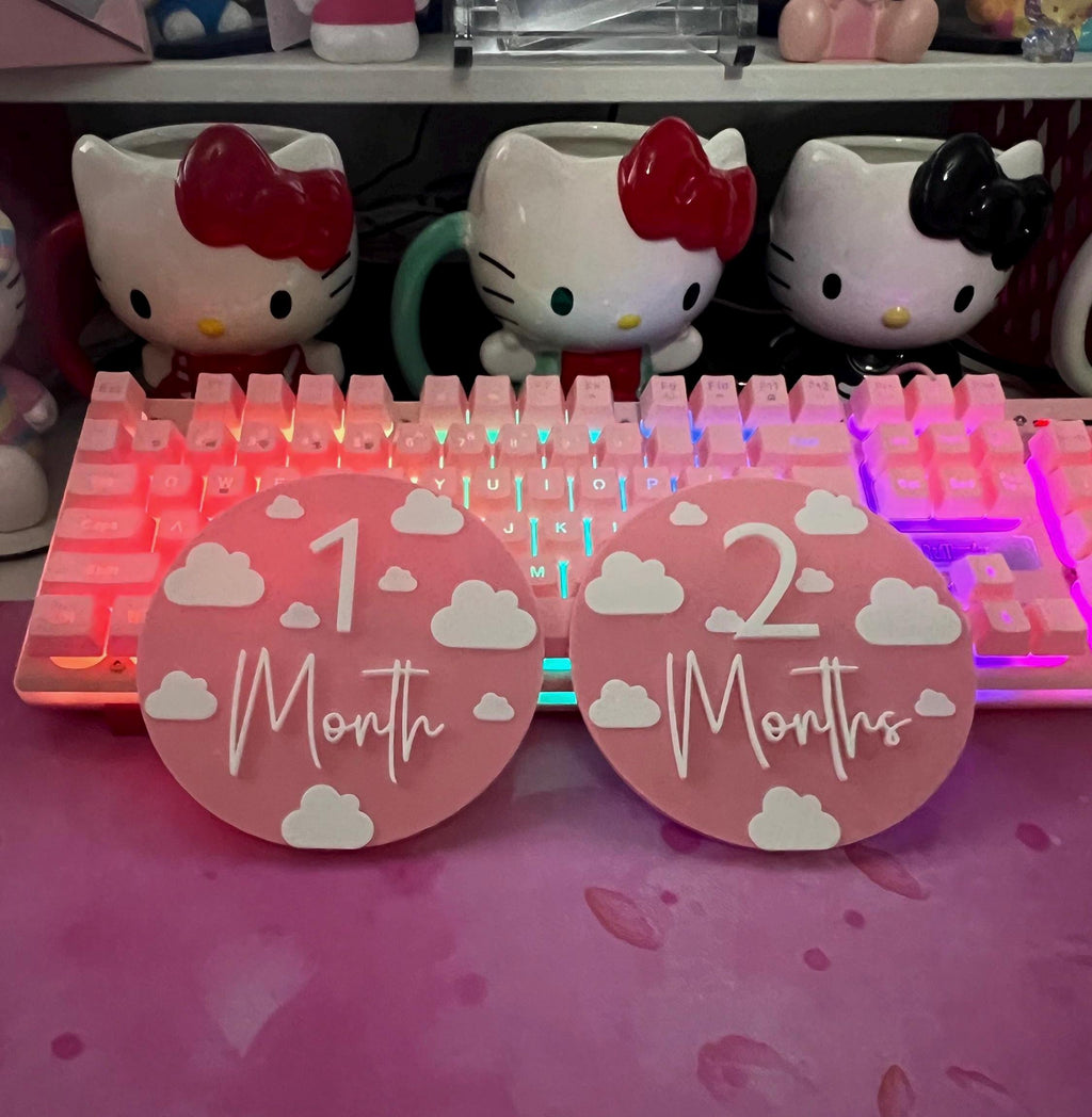 Baby Milestone / Monthly Milestone Discs