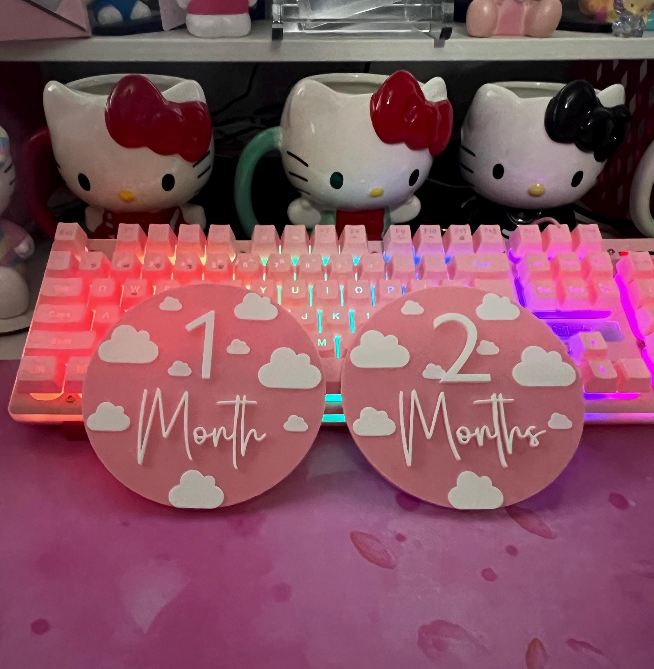 Baby Milestone / Monthly Milestone Discs